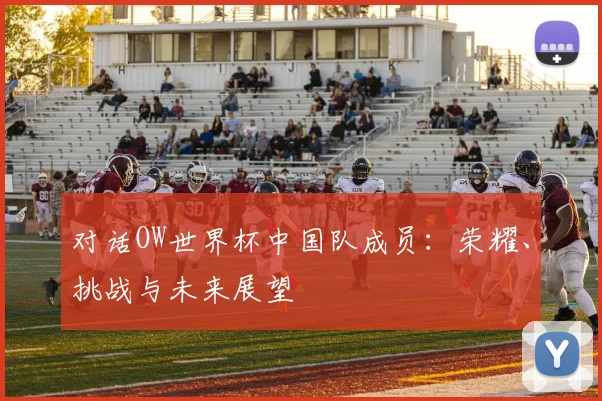 对话OW世界杯中国队成员:荣耀、挑战与未来展望