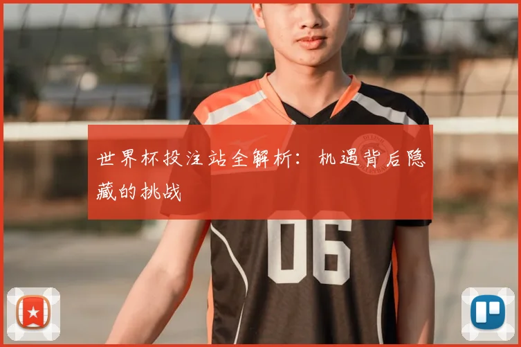 世界杯投注站全解析：机遇背后隐藏的挑战