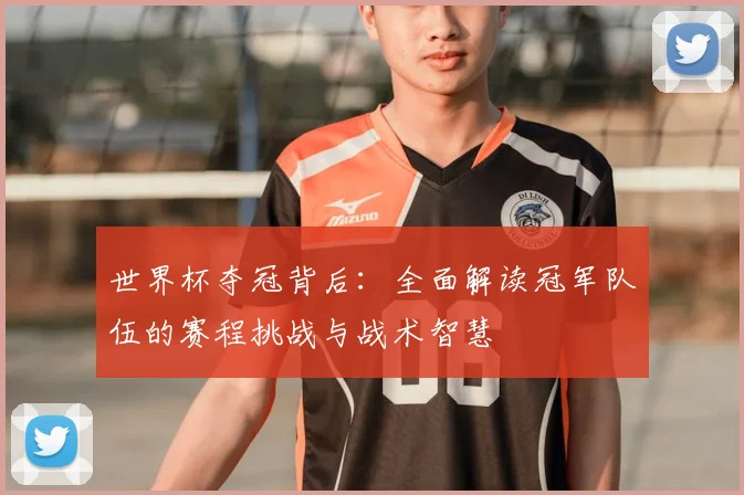 世界杯夺冠背后：全面解读冠军队伍的赛程挑战与战术智慧