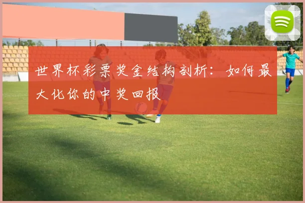 世界杯彩票奖金结构剖析:如何最大化你的中奖回报