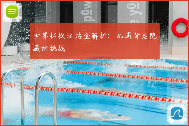 世界杯投注站全解析：机遇背后隐藏的挑战