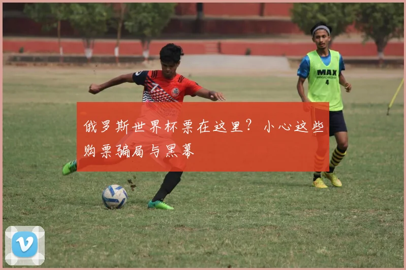 俄罗斯世界杯票在这里?小心这些购票骗局与黑幕