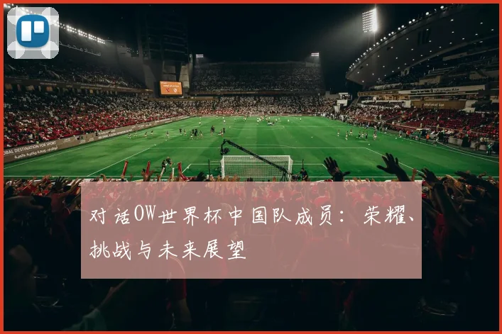 对话OW世界杯中国队成员:荣耀、挑战与未来展望