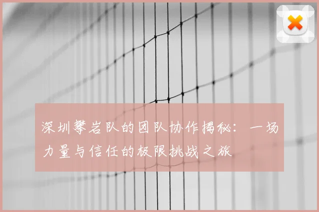 深圳攀岩队的团队协作揭秘：一场力量与信任的极限挑战之旅