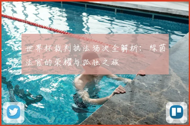 世界杯裁判执法场次全解析：绿茵法官的荣耀与孤独之旅