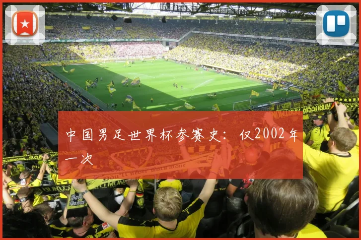 中国男足世界杯参赛史：仅2002年一次