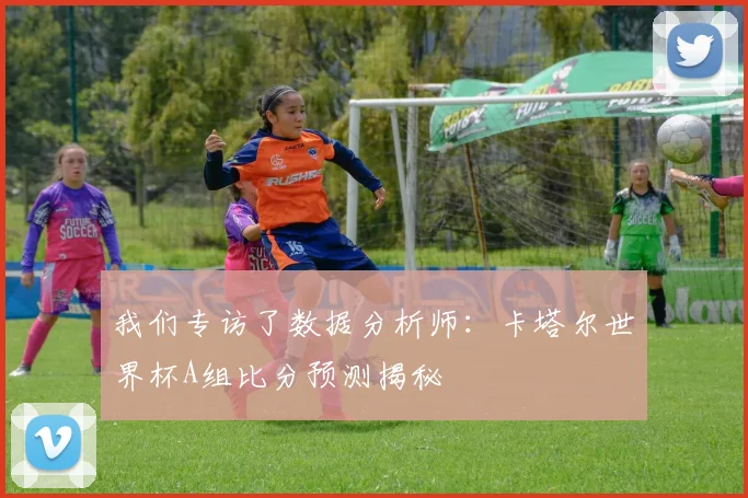 我们专访了数据分析师:卡塔尔世界杯A组比分预测揭秘