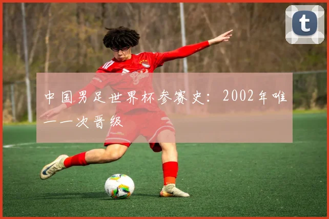 中国男足世界杯参赛史：2002年唯一一次晋级
