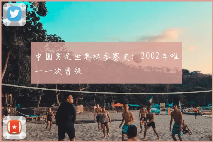 中国男足世界杯参赛史:2002年唯一一次晋级
