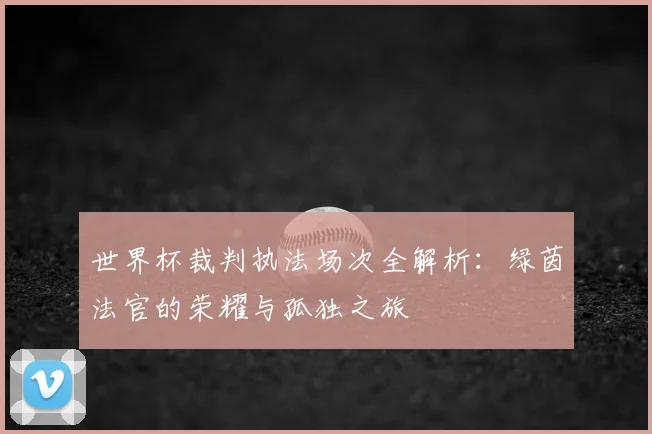 世界杯裁判执法场次全解析:绿茵法官的荣耀与孤独之旅